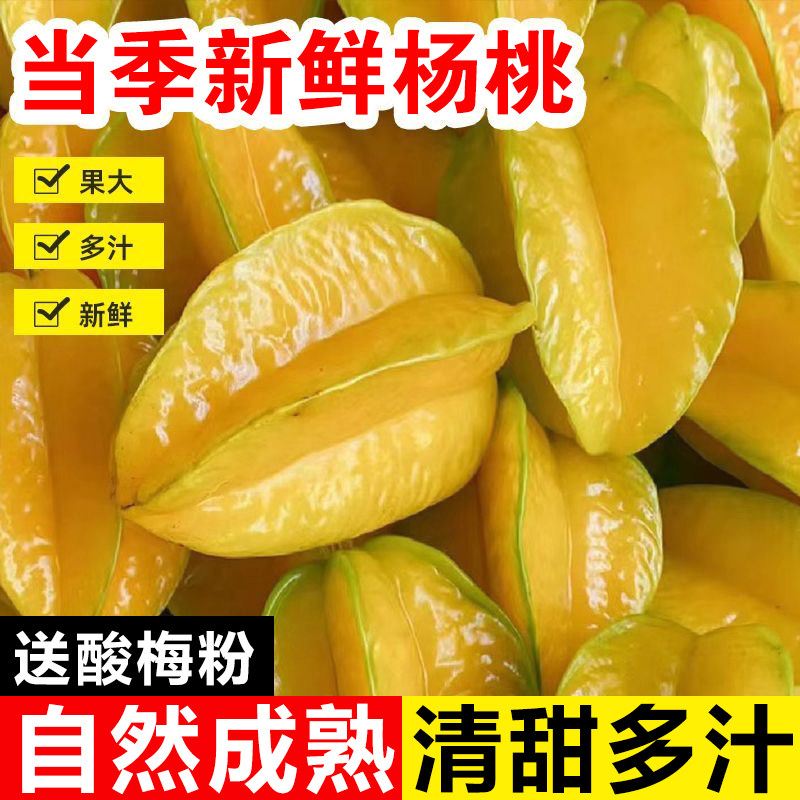 福建应季低糖清甜多汁杨桃图片