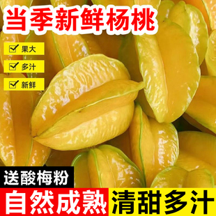 福建杨桃应季水果低糖水果减肥孕妇可吃酸嘢水果清甜可口多汁五星