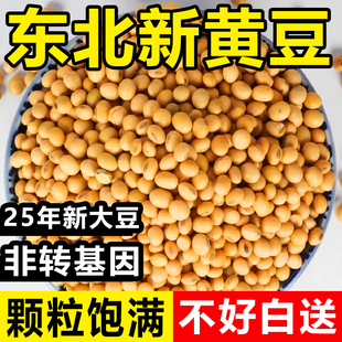 2025东北新鲜生黄豆非转基因打豆浆发豆芽专用豆子农家自种大豆
