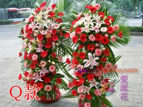 南阳花店价格 南阳花店图片 星期三