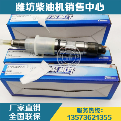 潍柴动力电喷WP12发动机WP13柴油机原厂612630090012博士喷油器