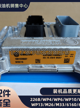 电控单元ECU潍柴WP6电喷WP10柴油发动机WP13WP11电脑板1001228607
