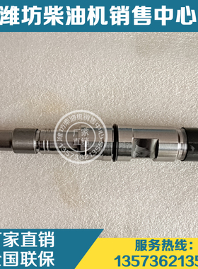 潍柴WP10国三发动机50铲车柴油机装载机电喷博士喷油器1000400254