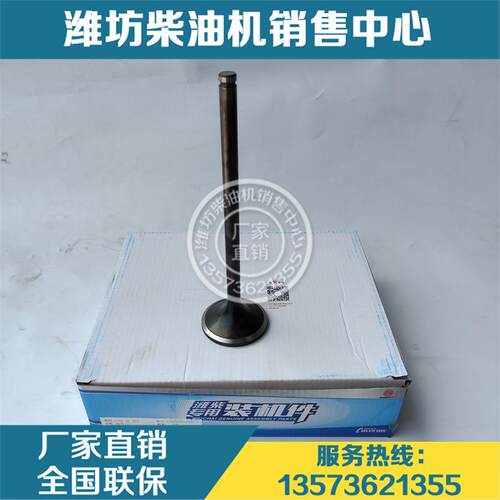 进气门排气门潍柴船舶动力6170