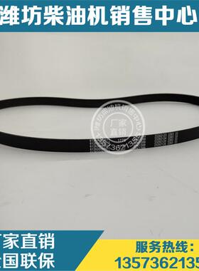 原装皮带612630060011多楔带6PK1399潍柴斯太尔WD615 WD618柴油机
