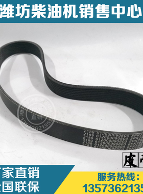 潍柴动力斯太尔WP10柴油发动机配件8PK795皮带612600090600原厂件