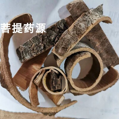 海桐皮中药材接骨药刺桐皮