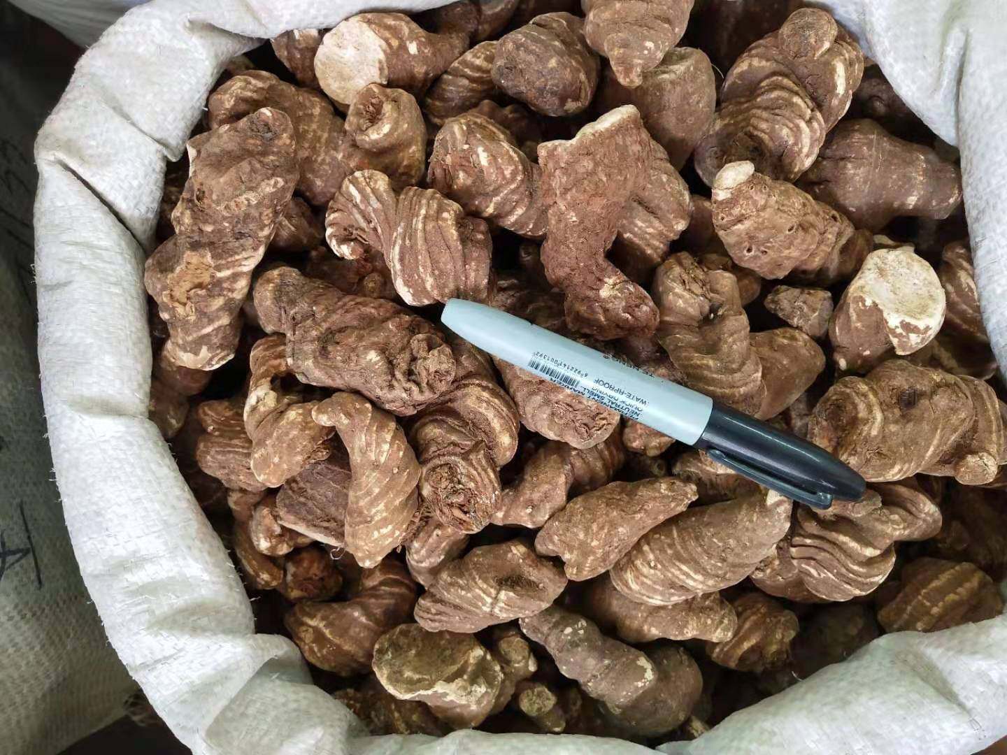 云南重楼中药材七叶一枝花蚤休