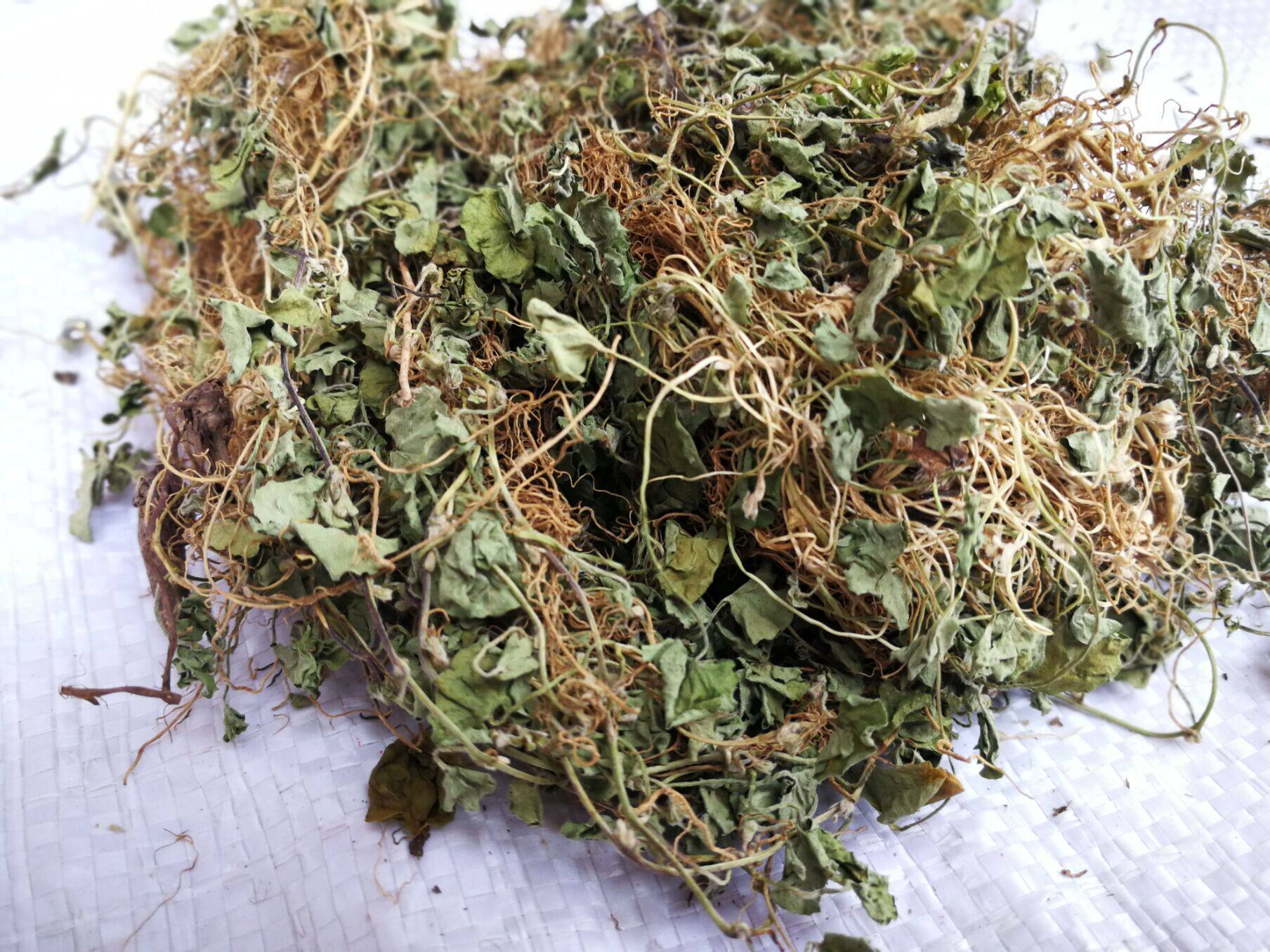 中药材马蹄金草新鲜干货500克g 小金钱草 荷苞草 铜钱草 可打磨粉
