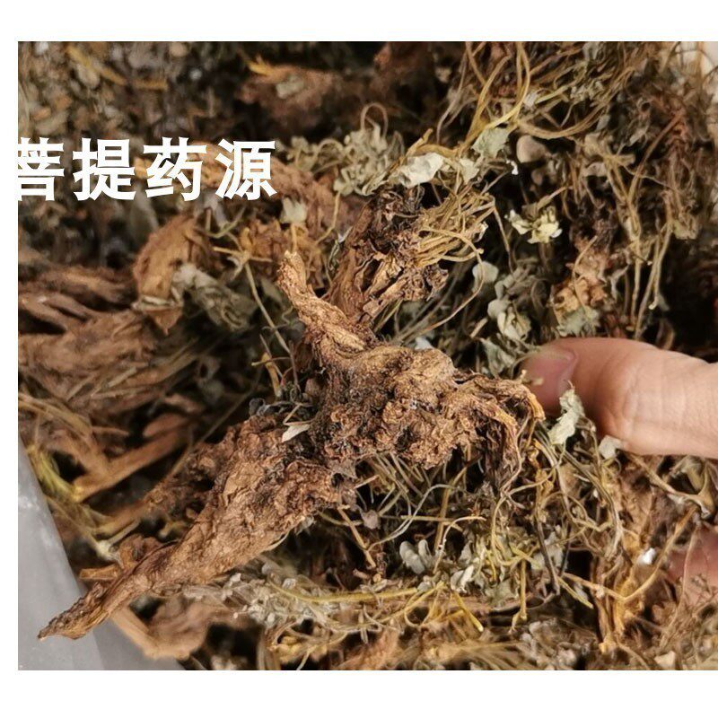 中草药岩黄连100克包邮 岩胡岩连多年老根岩黄莲干品粗根