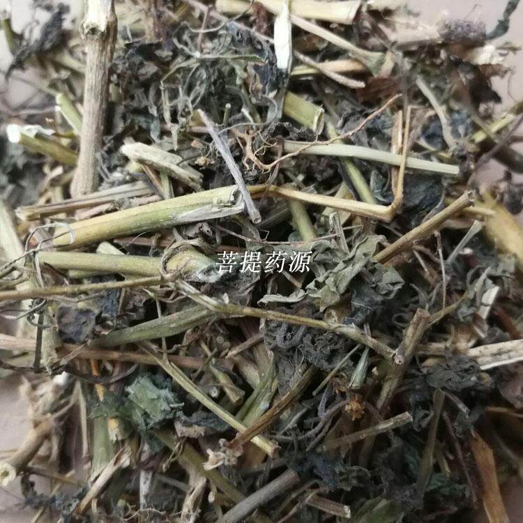 中药材龙葵草野葡萄黑天天野辣椒天茄子黑茄子苦葵草500克包邮