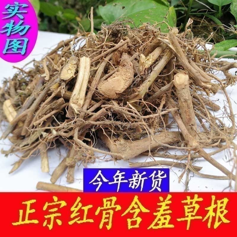广西野生红骨含羞草根中药材含羞根害羞草根怕丑草根头新鲜干货