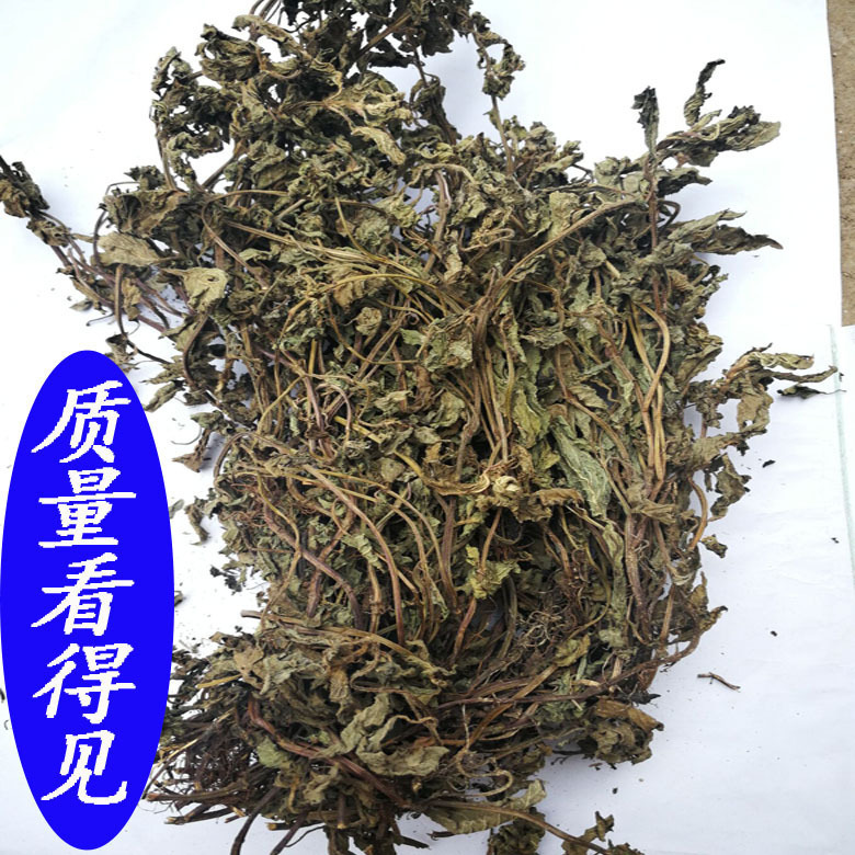 新货广西凉粉草冻原料食用凉粉