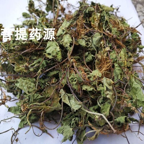 雷公根中草药积雪草中药材崩大碗