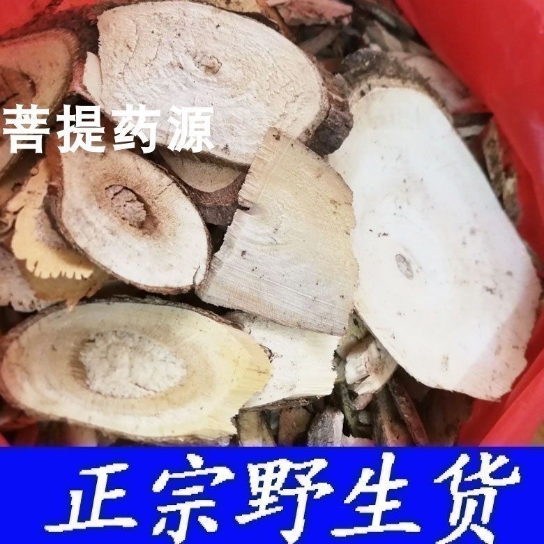 鹰不泊中药材乌不宿500克鸟不落 鹰不扑朴鸟不宿鸟不企乌鸦不企树