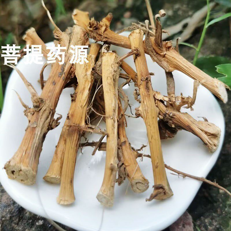 春砂仁根新鲜干货500g阳春砂仁根头煲汤煮水农家自晒沙仁根跟无硫