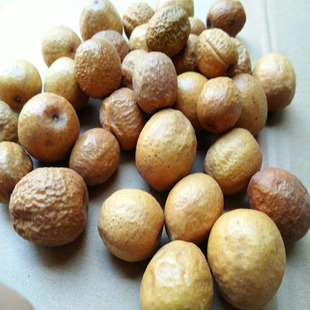 正宗苦楝子中药材苦楝树果实川楝子中草药500克 金铃子川连子整颗