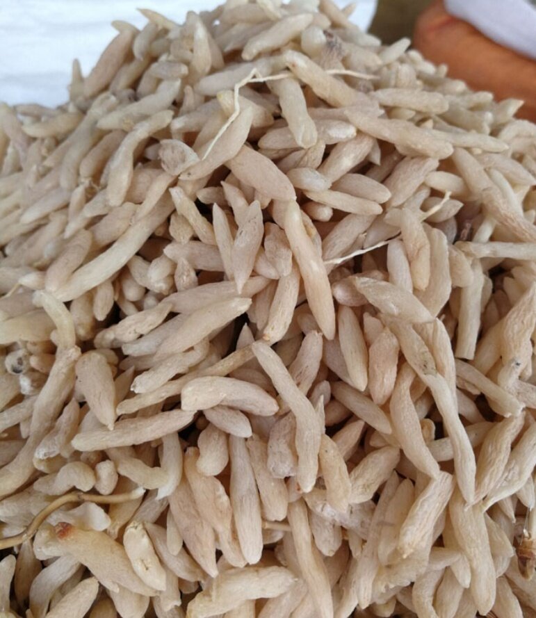 正宗麦冬500克包邮无硫新货