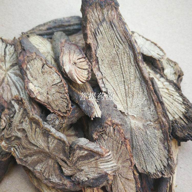 广西金锁匙中药材金线风百解藤