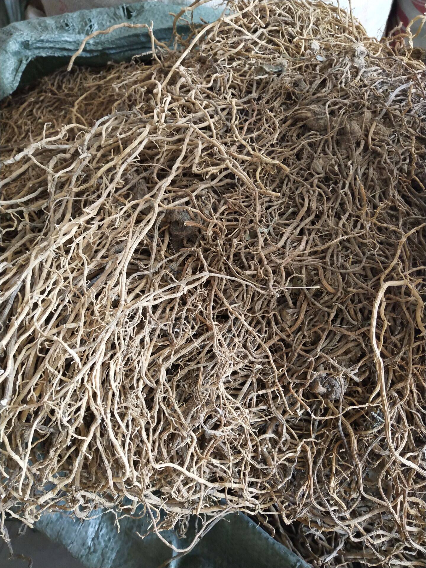 500克蕨根鱼须大伸筋草中草药材