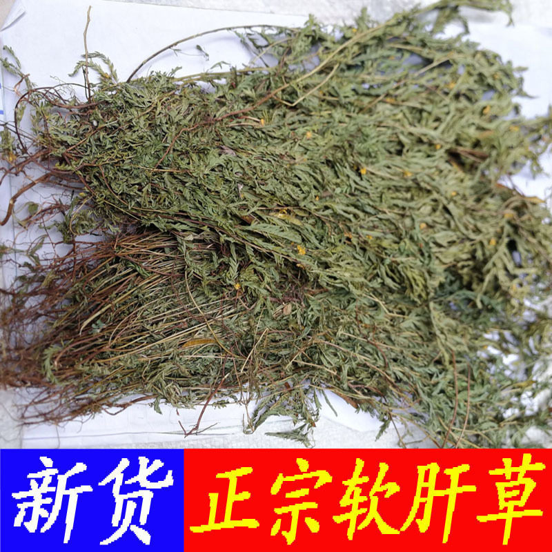 新货软肝草中药材铁甲草中草药坡扁柏 益肝草广西含羞草决明泡茶