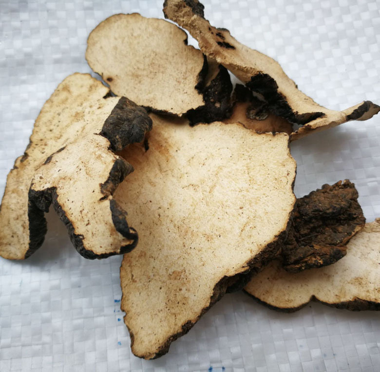 猪苓片中药材500克包邮