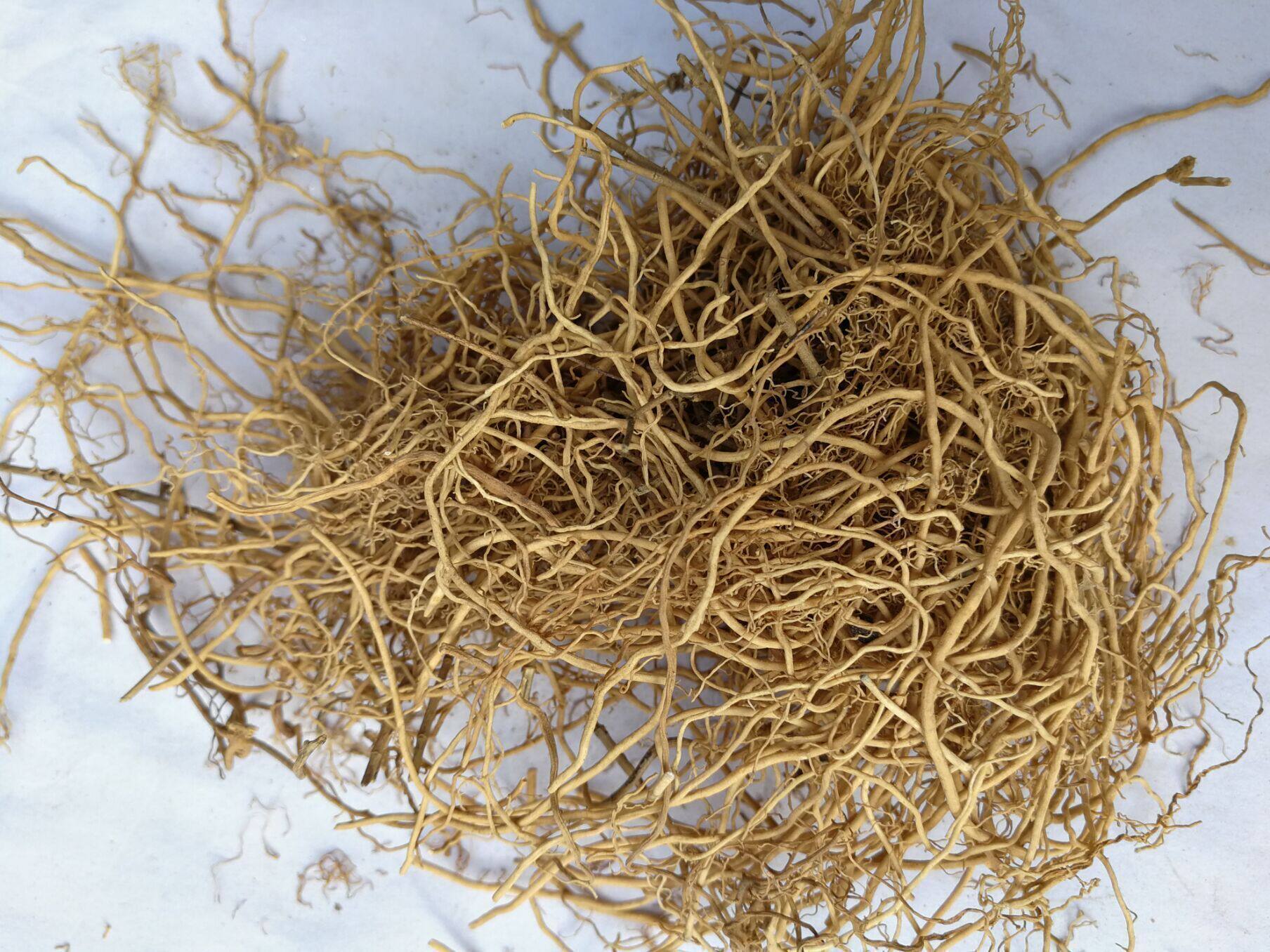 徐长卿中药材纯根部 寮刁竹中草药逍遥竹中药一枝香500克包邮