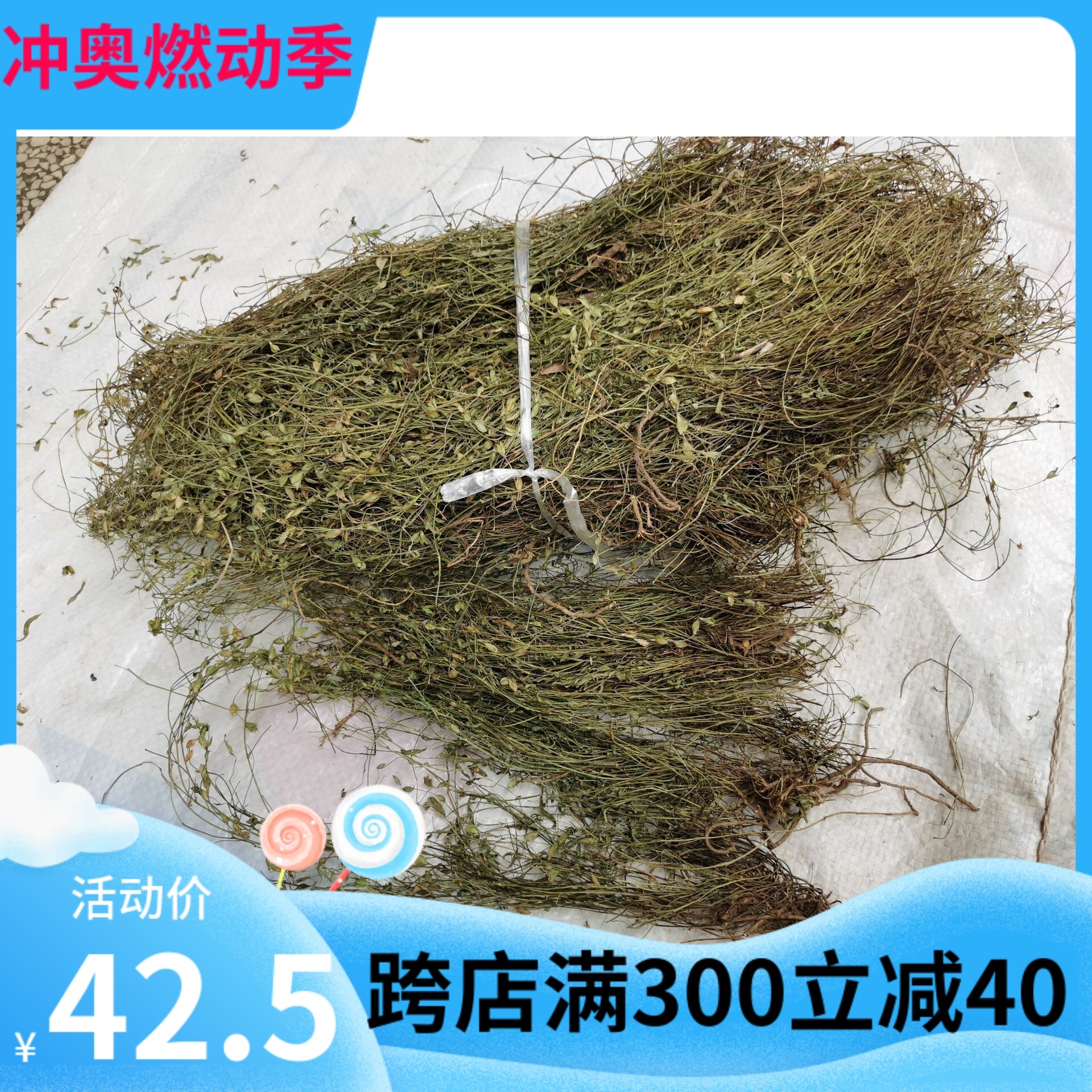 正宗二叶人字草中药材500克 丁葵草 苍蝇翼 丁癸草 乌龙草一条根