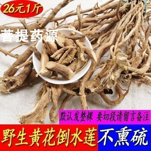 正宗野生黄花倒水莲根干货观音串月子茶煲汤黄花参根倒吊黄根泡酒 - 封面