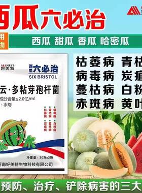 西瓜六必治叶面肥甜瓜哈密瓜