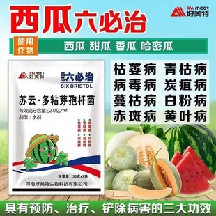 西瓜六必治叶面肥甜瓜哈密瓜黄叶枯萎青枯赤斑蔓枯炭疽专用瓜肥料