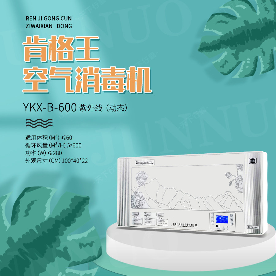 雾霾空气净化器家用YKX-B-600壁挂负离子臭氧消毒机杀菌除烟异味