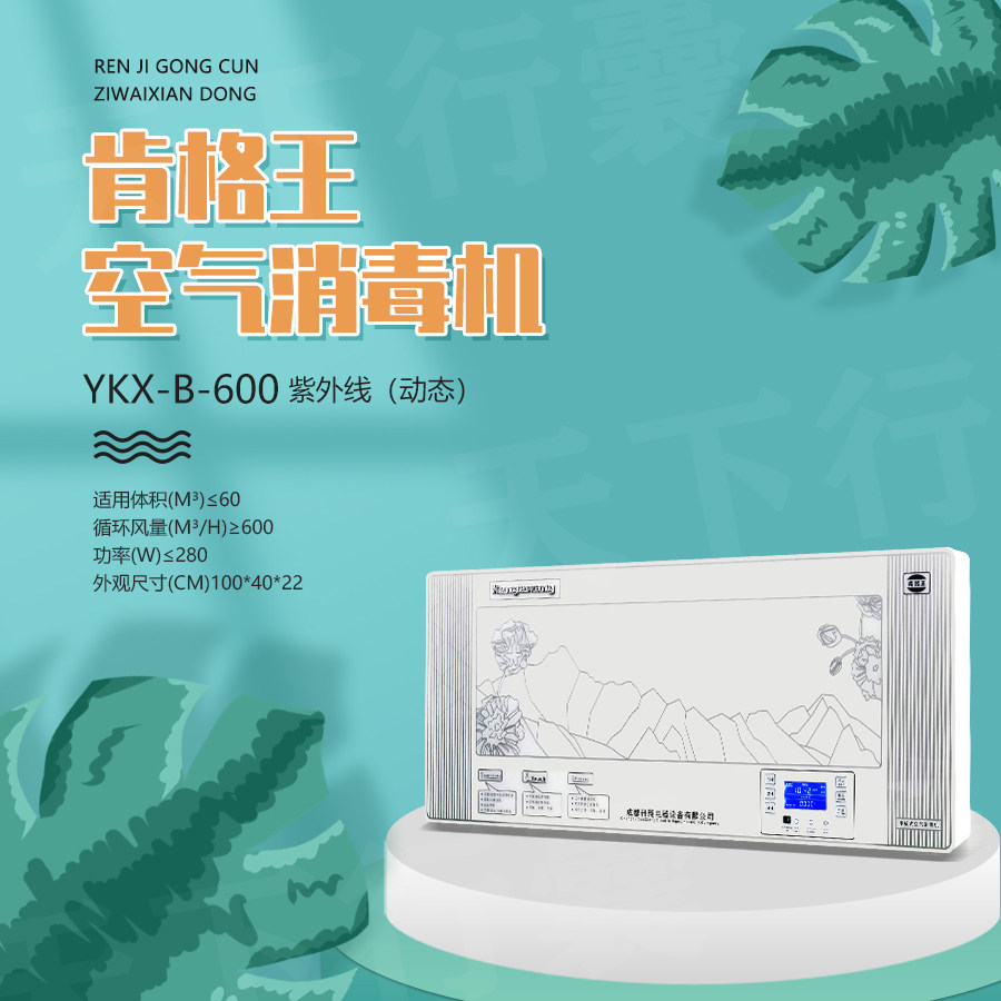 雾霾空气净化器家用YKX-B-600壁挂负离子臭氧消毒机杀菌除烟异味