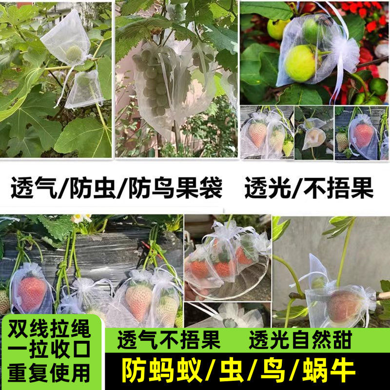 尼龙水果套袋果实防鸟虫专用网袋葡萄无花果石榴番茄草莓保护袋