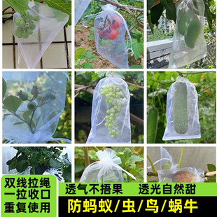 水果套袋果树防鸟防虫网袋火龙果葡萄无花果石榴保护桃子袋青瓜