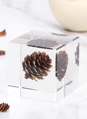 简约现代树脂内置植物方块摆件