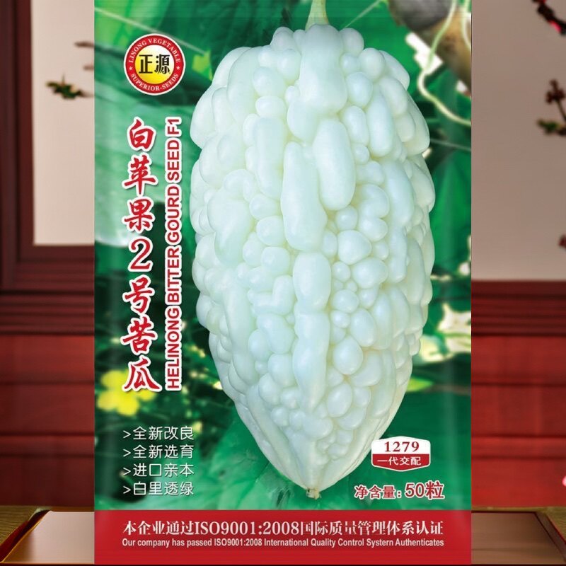 白苹果2号苦瓜种子 中熟耐高温抗病高产美观好吃苦瓜种籽50粒