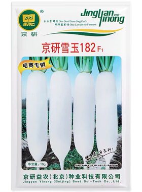 天山雪莲/白萝卜种子 春秋播长白萝卜种子 60天蔬果蔬菜种子10g