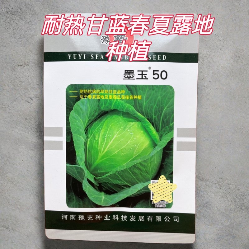 墨玉50甘蓝种子豫艺耐热早熟抗病扁球型莲花白蔬菜种子10克