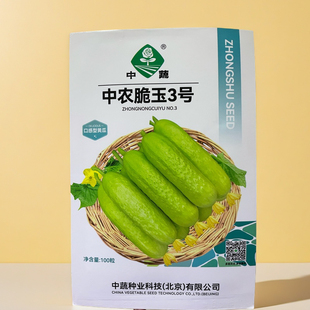 脆玉3号黄瓜种子春秋白皮减脂黄瓜种子 雌花率高丰产甜脆蔬菜种子