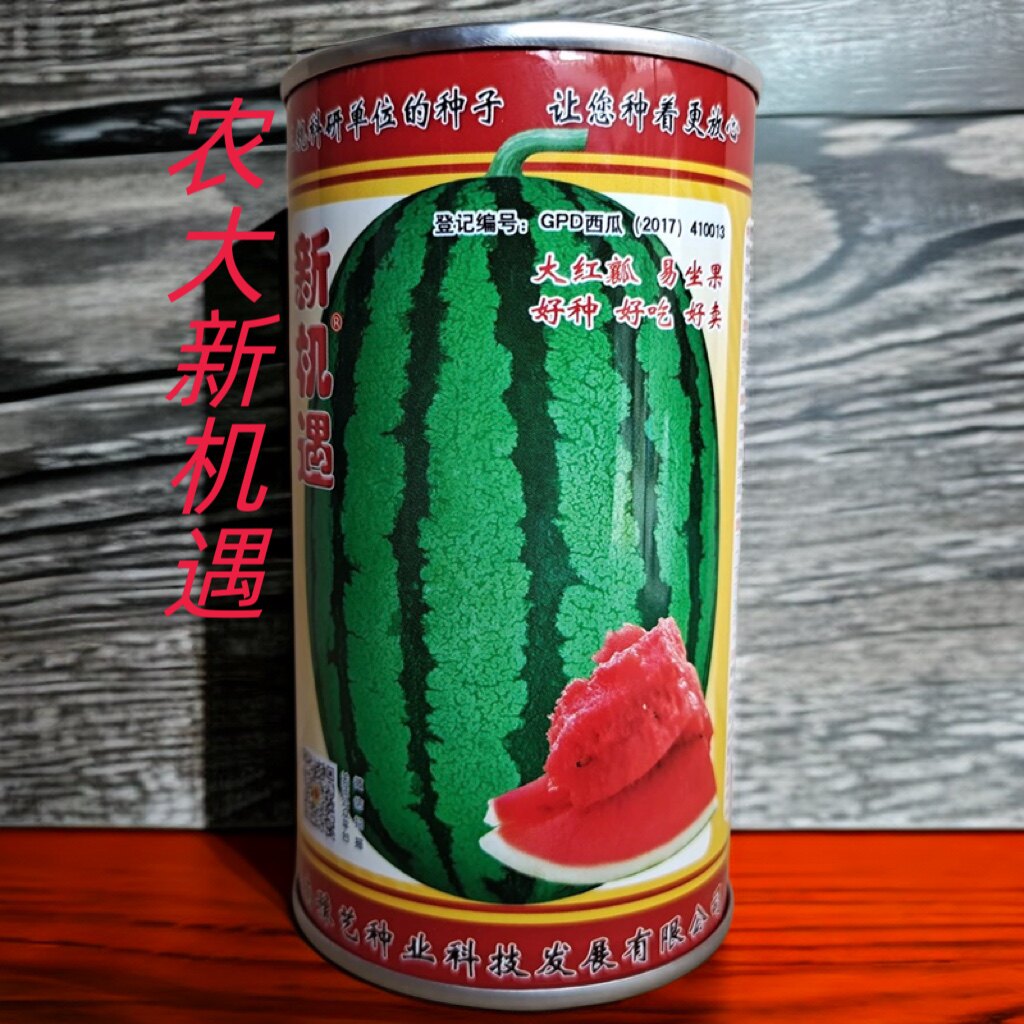 豫艺新机遇西瓜种子 高产大果红瓤椭圆形西瓜种子 中早熟 1000粒