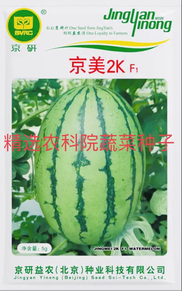 京美2K西瓜种子 北京早熟皮薄礼品西瓜籽 高糖度高产 吊蔓小西瓜