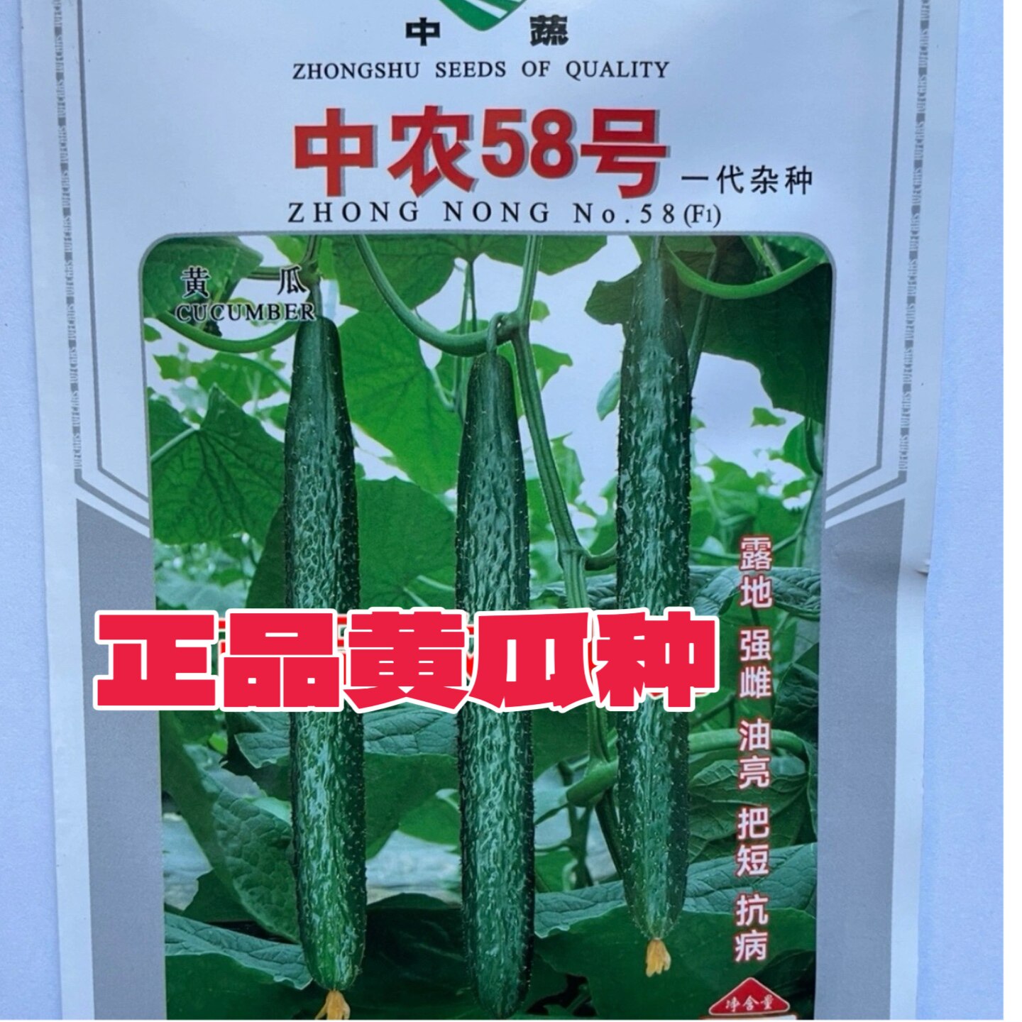 农科院北京中农58号露地黄瓜种子高产抗病青瓜种子20g