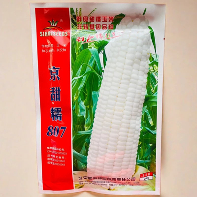京甜糯807甜糯玉米种子 国审耐低温耐高温耐锈病大穗子口感香甜糯