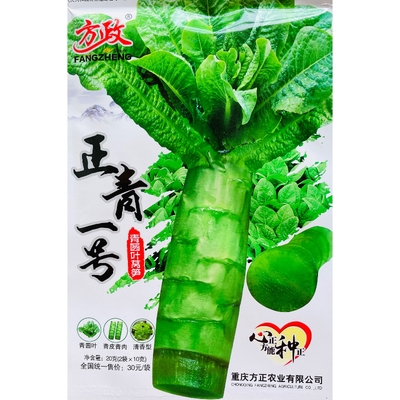 正青一号莴笋种子 青圆叶 青皮青肉 青香型 不带苦味抗病性强莴苣