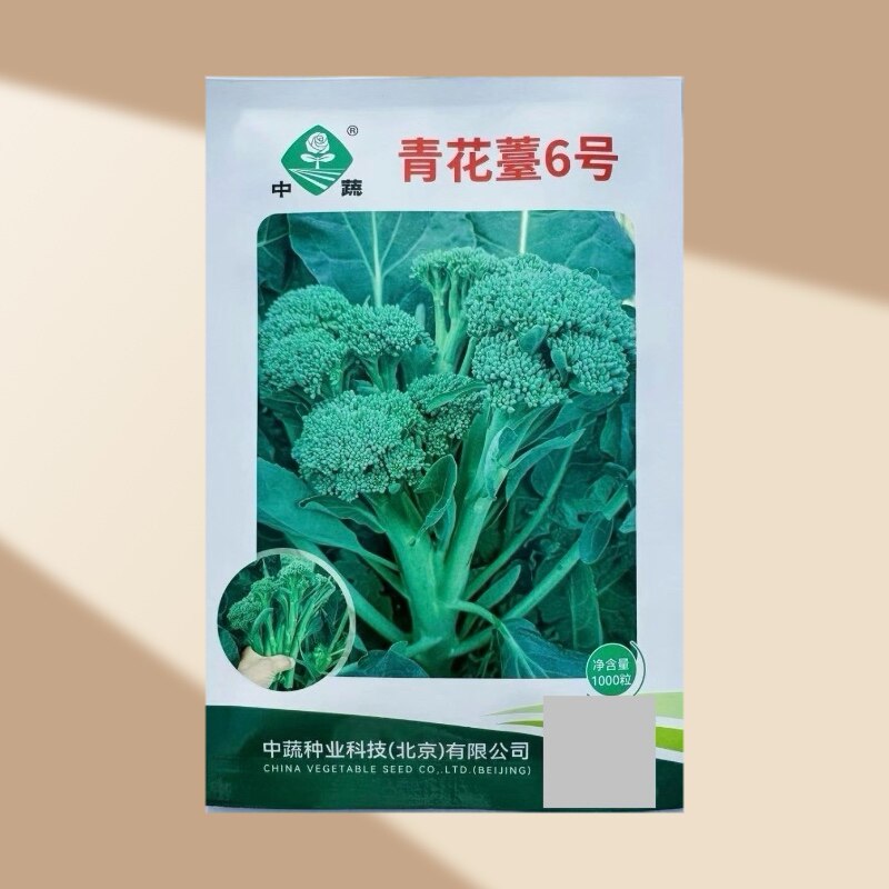 青花薹6号西兰花种子 春秋中晚熟西兰薹种子 口感细腻脆甜多汁