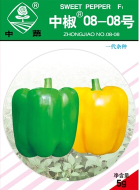 中椒0808/彩椒种子绿黄两用灯笼椒中国农科院辣椒蔬菜种子中蔬5g