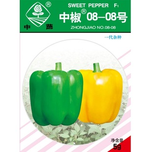 中椒0808/彩椒种子绿黄两用灯笼椒中国农科院辣椒蔬菜种子中蔬5g