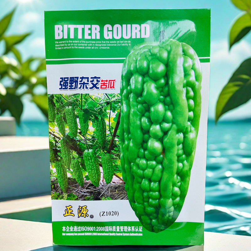强野珍珠苦瓜种子 春夏秋圆锥形苦瓜籽 高产珠瘤突出凉瓜种子