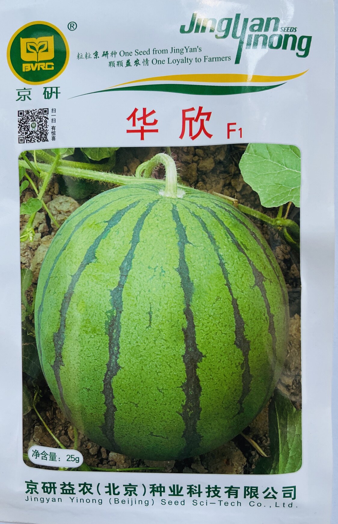 华欣/中国北京农科院抗病高产大籽西瓜蔬菜种子京研25g